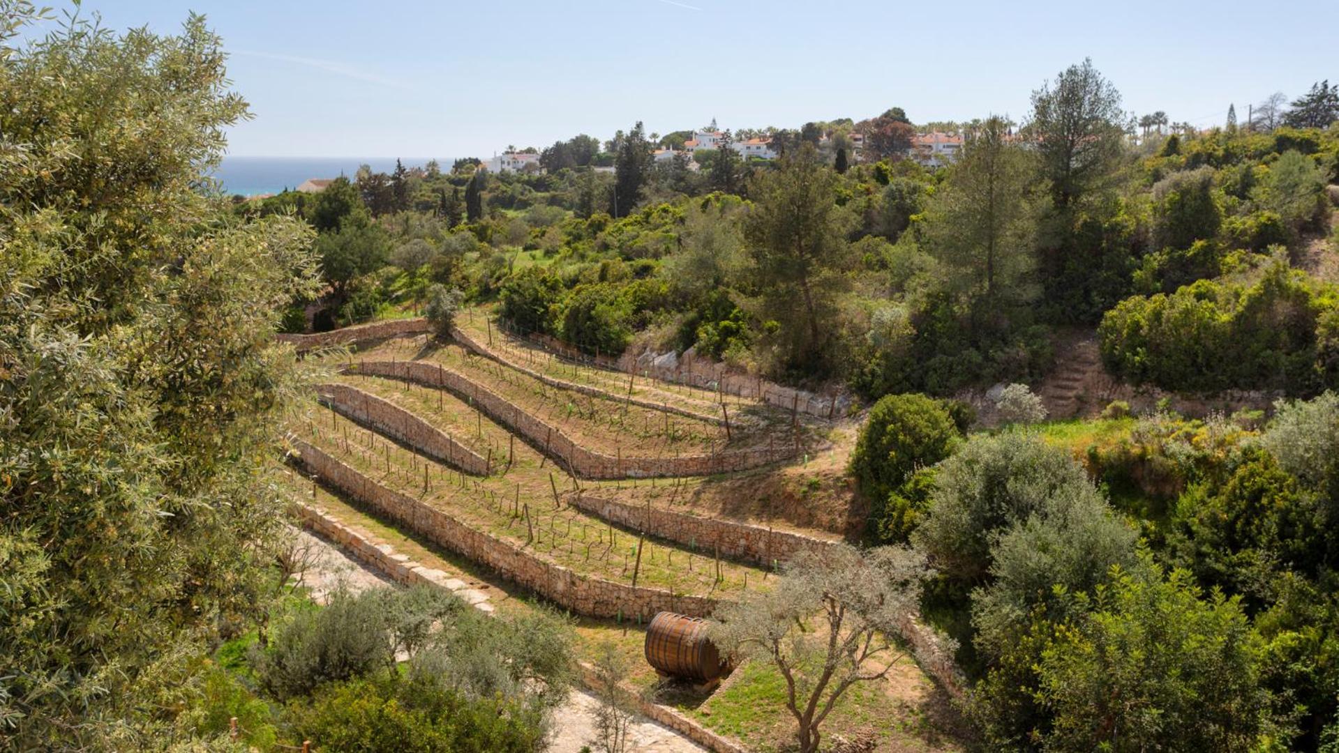 דירות Casas De Carvoeiro By Sevencollection מראה חיצוני תמונה